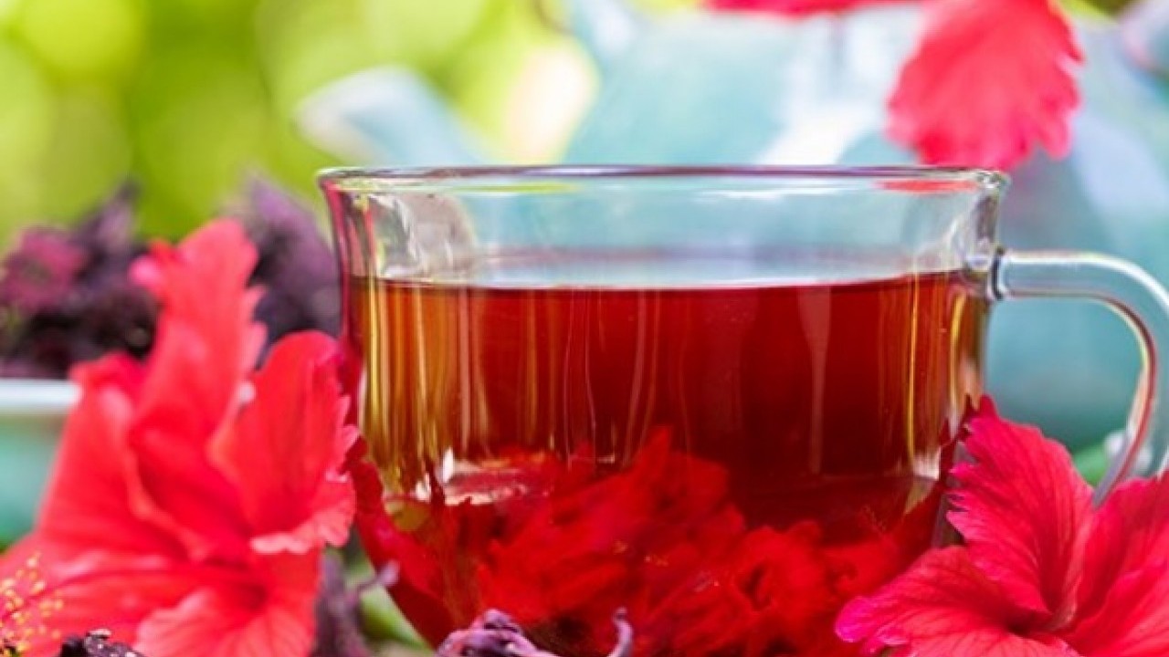 Doğanın kırmızı şifası hibiskus çayının faydaları