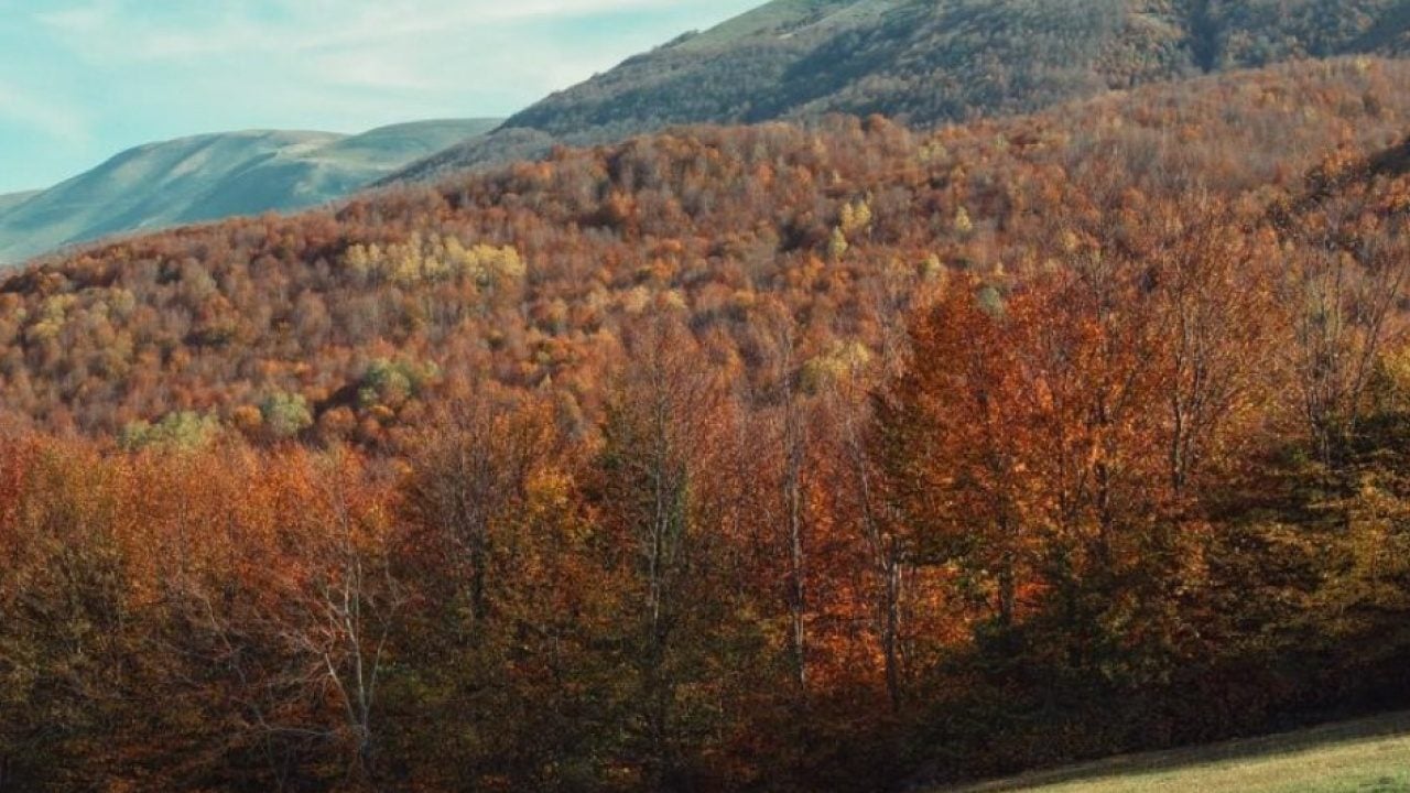 Foto - Doğanın renk cümbüşü gölün mavisiyle buluştu