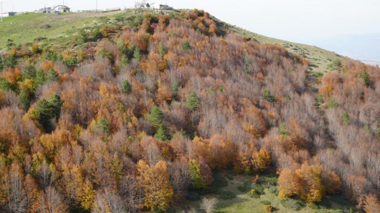 Foto - Doğanın renk cümbüşü gölün mavisiyle buluştu