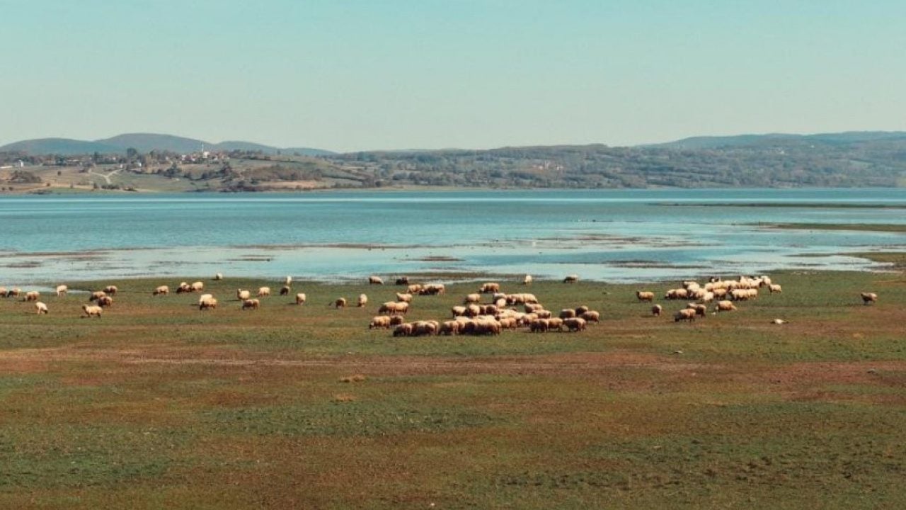 Foto - Doğanın renk cümbüşü gölün mavisiyle buluştu