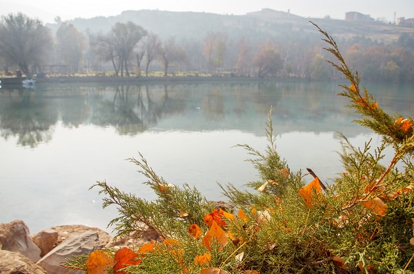 Foto - Doğanın renkleri hayran bıraktı