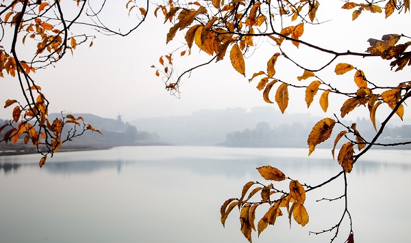 Foto - Doğanın renkleri hayran bıraktı