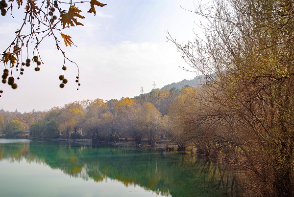 Foto - Doğanın renkleri hayran bıraktı