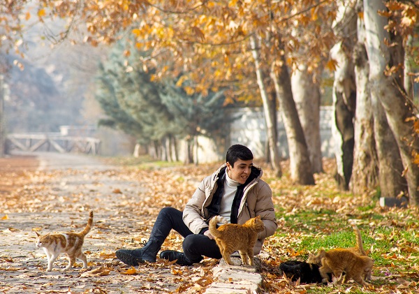 Foto - Doğanın renkleri hayran bıraktı