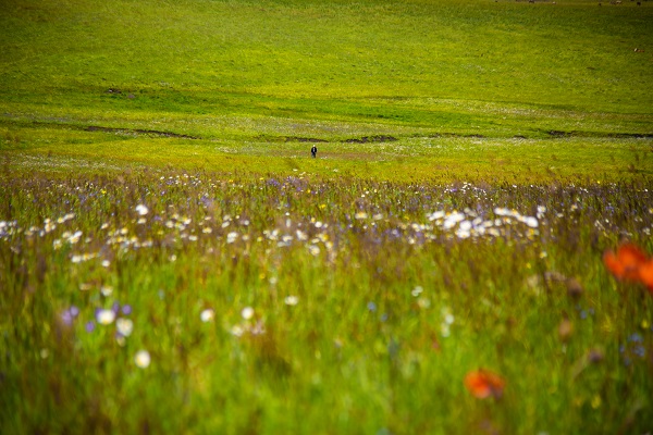 Foto - Doğanın tonları görsel şölen yaşatıyor