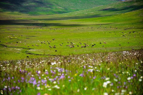 Foto - Doğanın tonları görsel şölen yaşatıyor