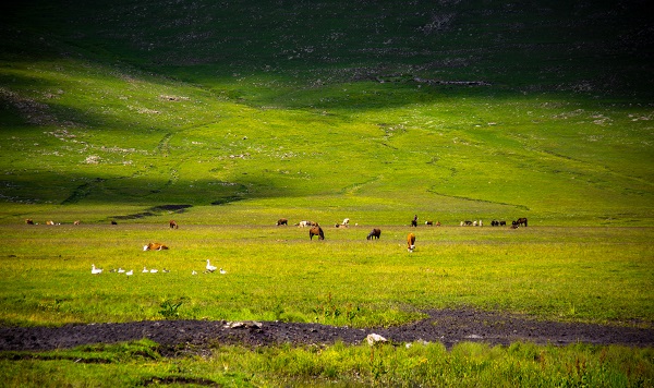 Foto - Doğanın tonları görsel şölen yaşatıyor
