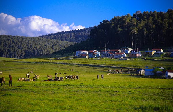 Foto - Doğanın tonları görsel şölen yaşatıyor