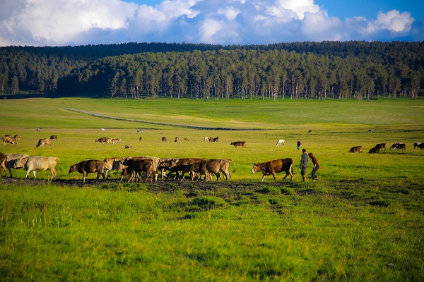 Foto - Doğanın tonları görsel şölen yaşatıyor
