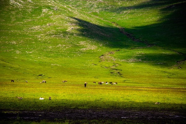 Foto - Doğanın tonları görsel şölen yaşatıyor
