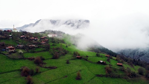 Foto - Doğanın yeşile doyduğu yer: Küre Dağları