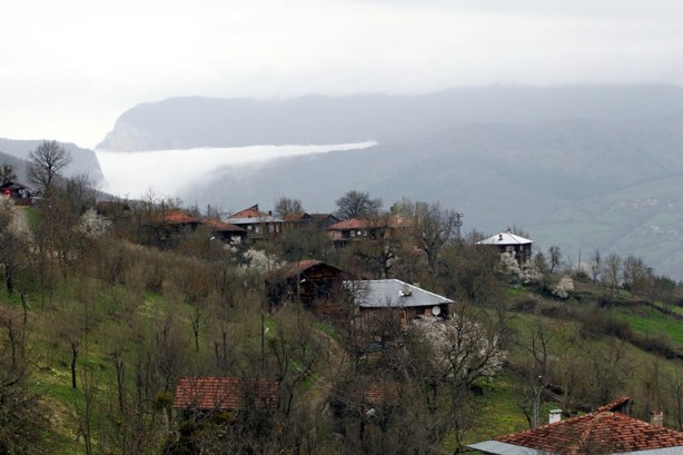 Doğanın yeşile doyduğu yer: Küre Dağları