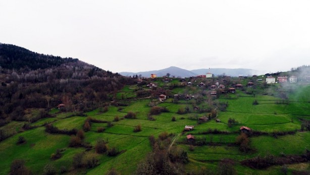 Foto - Doğanın yeşile doyduğu yer: Küre Dağları