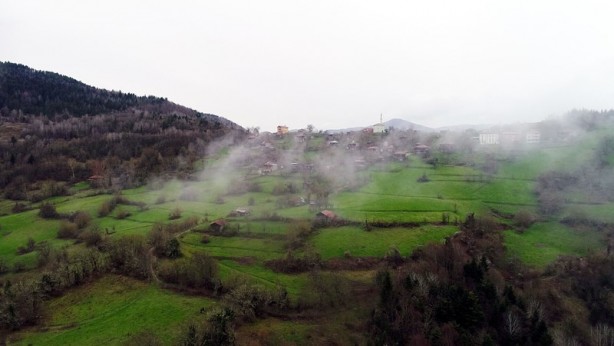 Foto - Doğanın yeşile doyduğu yer: Küre Dağları