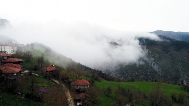 Foto - Doğanın yeşile doyduğu yer: Küre Dağları