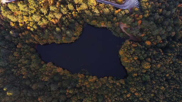Foto - Doğaseverleri bekleyen güzellik