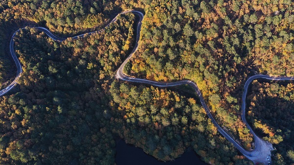 Foto - Doğaseverleri bekleyen güzellik