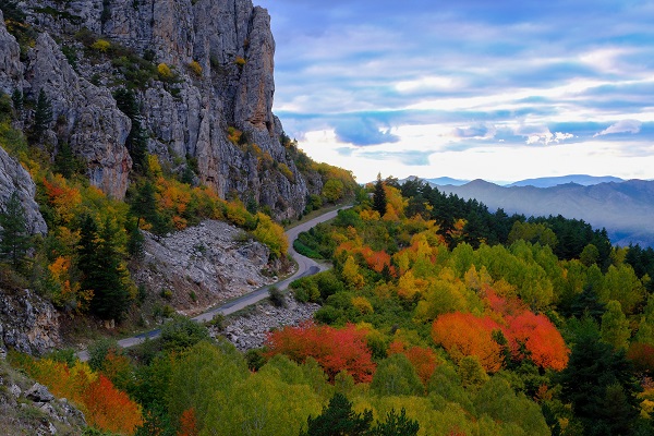 Foto - Doğaseverleri mest ediyor! Gümüş şehir artık 'altın' şehir