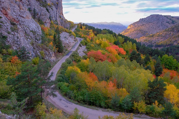 Foto - Doğaseverleri mest ediyor! Gümüş şehir artık 'altın' şehir