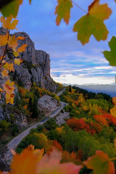 Foto - Doğaseverleri mest ediyor! Gümüş şehir artık 'altın' şehir
