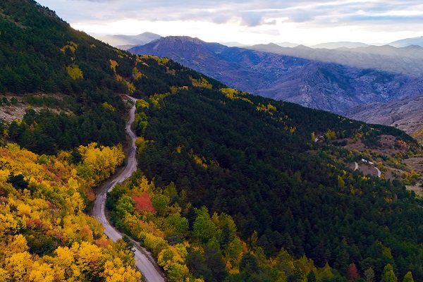 Foto - Doğaseverleri mest ediyor! Gümüş şehir artık 'altın' şehir