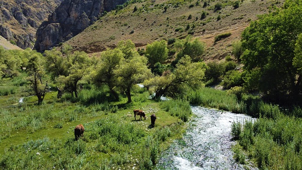 Foto - Doğaseverlerin yeni rotası