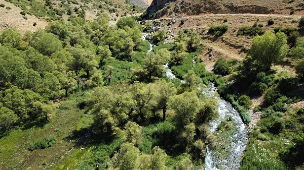 Foto - Doğaseverlerin yeni rotası