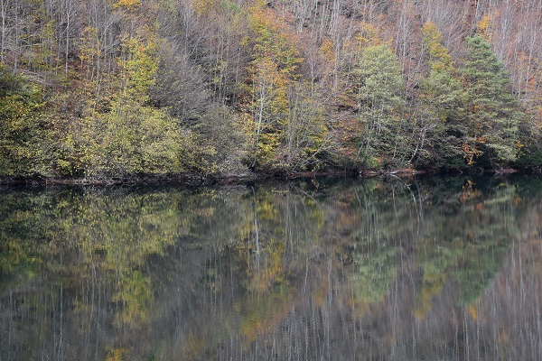 Foto - Doğaseverlerin yeni rotası: Ulugöl
