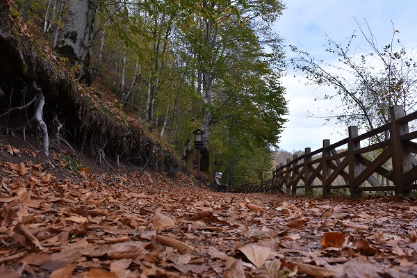 Foto - Doğaseverlerin yeni rotası: Ulugöl