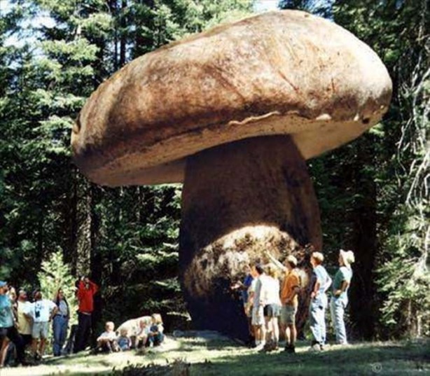 Foto - Doğaüstü olaylar ve tuhaf fotoğraflar