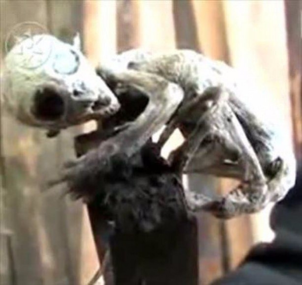 Foto - Doğaüstü olaylar ve tuhaf fotoğraflar