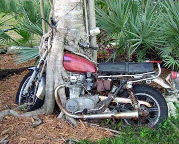 Foto - Doğaüstü olaylar ve tuhaf fotoğraflar