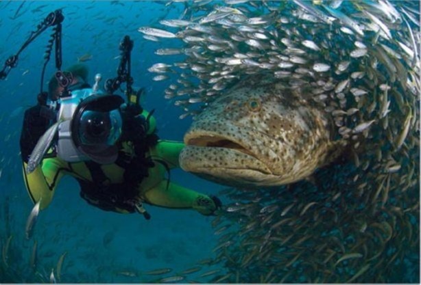 Foto - Doğaüstü olaylar ve tuhaf fotoğraflar