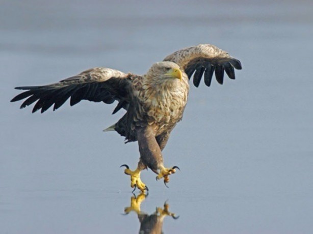 Foto - Doğaüstü olaylar ve tuhaf fotoğraflar