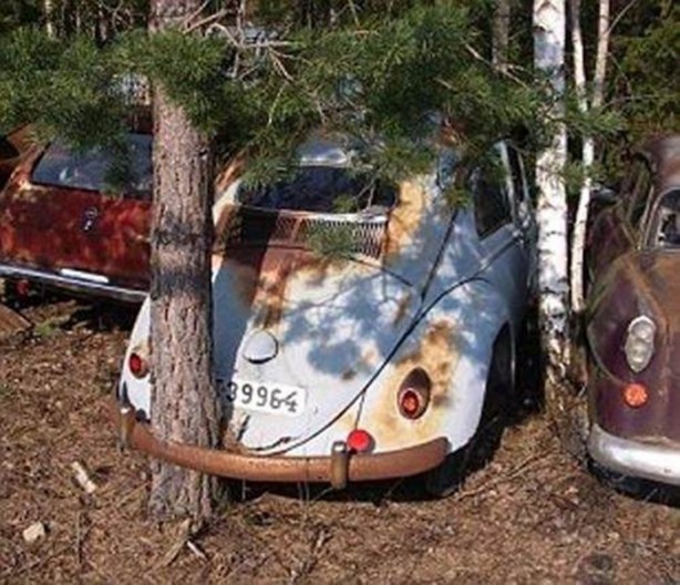 Foto - Doğaüstü olaylar ve tuhaf fotoğraflar