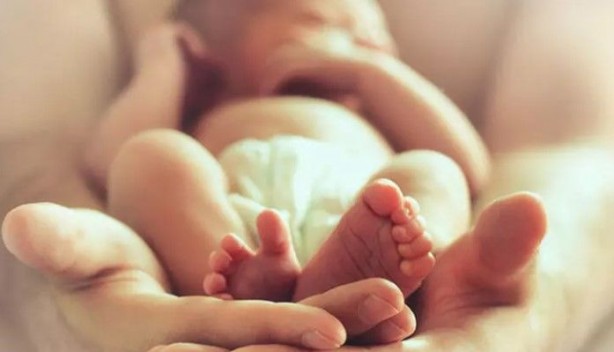 Foto - Doğduğu ilk günden beri kafayı takmıştı! Kedi, bebeği kaçırıp ölümüne sebep oldu