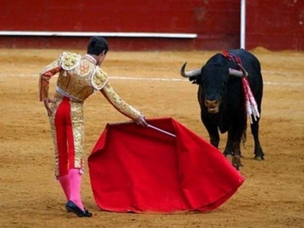 Foto - Doğru bilinen 12 yanlış