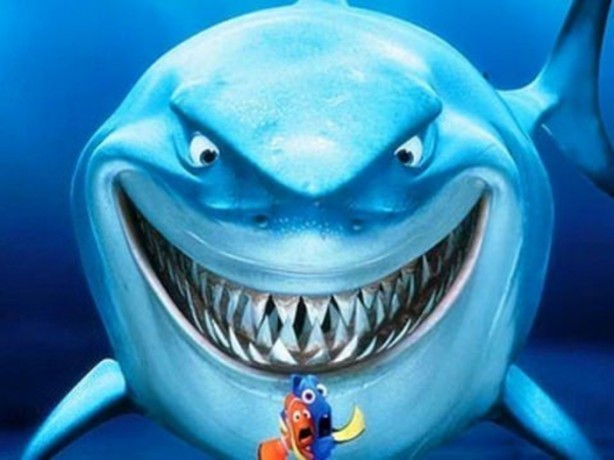 Foto - Doğru bilinen 12 yanlış