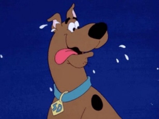 Foto - Doğru bilinen 12 yanlış