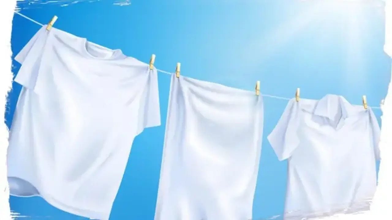 Foto - Doğru temizlik anlamına gelmiyor: Çamaşır makinesine asla atmamanız gereken 7 şey!