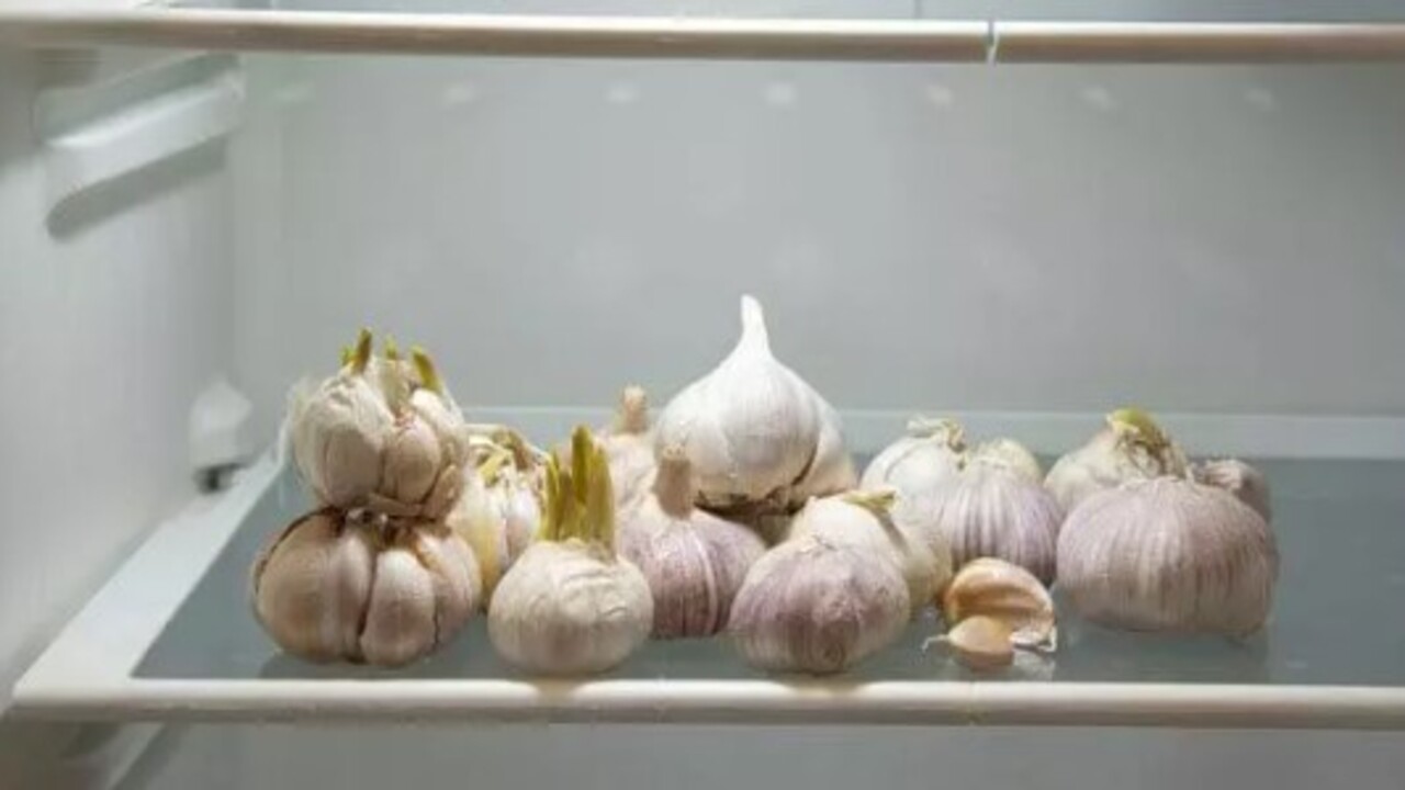 Foto - Doğru yöntemlerle israfı önleyin! İşte buzdolabında saklanmaması gereken sebzeler