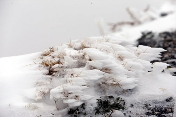 Foto - Doğu Anadolu beyaza büründü