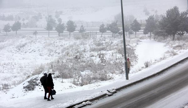 Foto - Doğu Anadolu buz kesti!