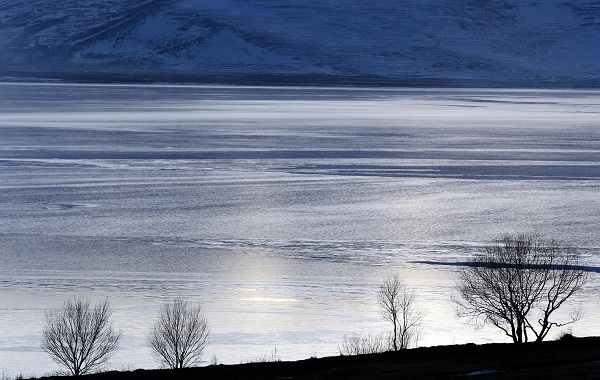 Foto - Doğu Anadolu buz tuttu