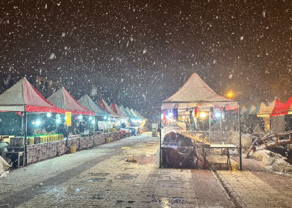 Foto - Doğu Anadolu kara teslim! 