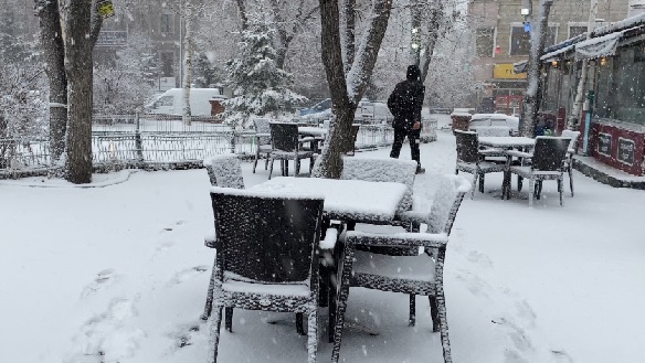 Foto - Doğu Anadolu kara teslim! 