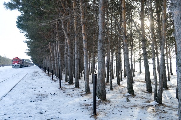 Foto - Doğu Ekspresi ile kar diyarına muazzam yolculuk