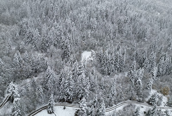 Foto - Doğu Karadeniz beyaza büründü