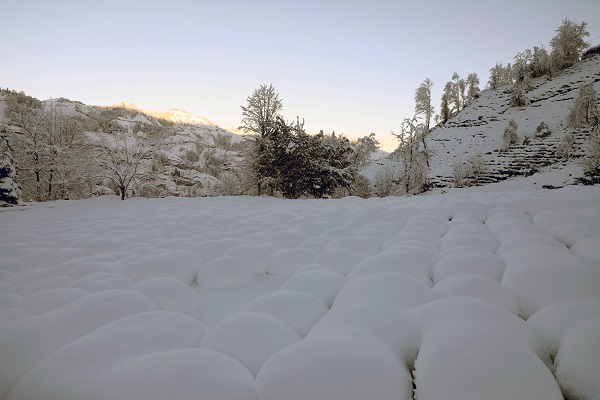 Foto - Doğu Karadeniz beyaza büründü