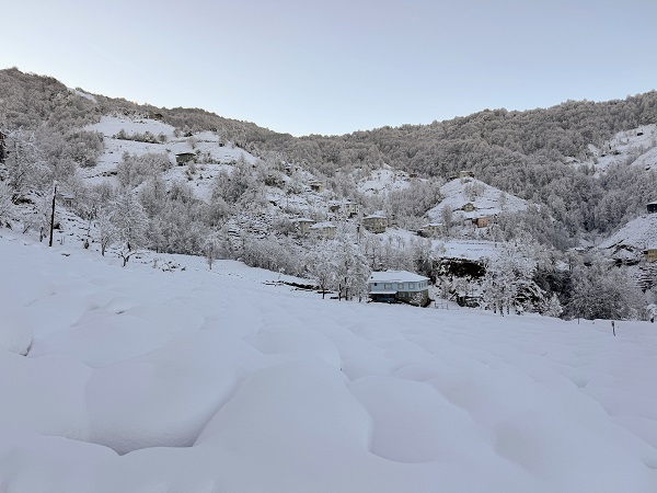 Foto - Doğu Karadeniz beyaza büründü